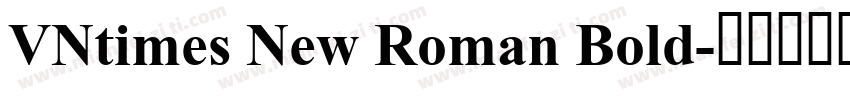 VNtimes New Roman Bold字体转换